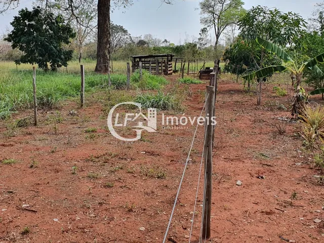 Imagem 3: Chácara 7 Hectares com Poço-artesiano e Casa Grande