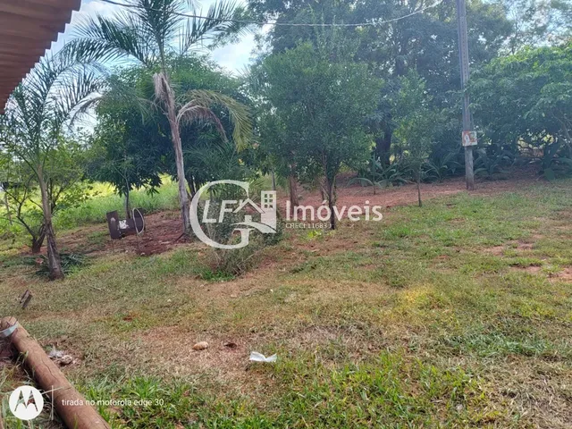 Imagem 9: Chácara 7 Hectares com Poço-artesiano e Casa Grande