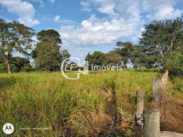 Imagem 7: Chácara 7 Hectares com Poço-artesiano e Casa Grande
