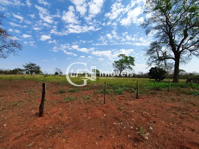 Imagem 14: Chácara 7 Hectares com Poço-artesiano e Casa Grande