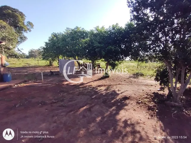 Imagem 6: Chácara com Produção para o SEASA