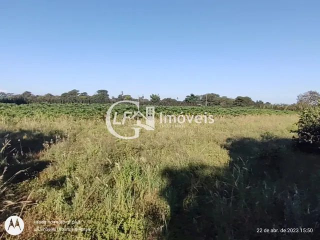Imagem 10: Chácara com Produção para o SEASA