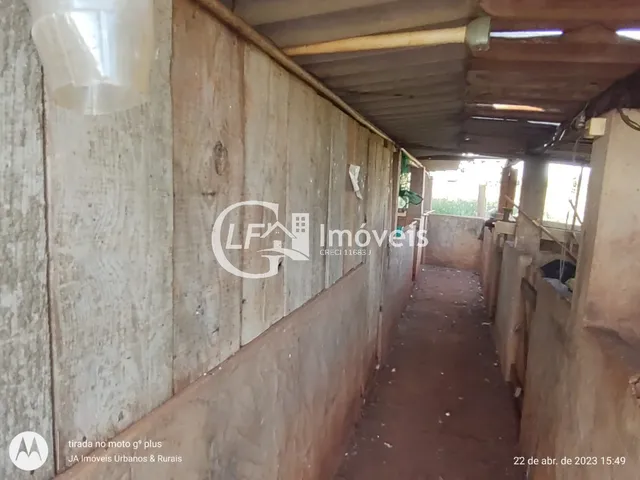 Imagem 16: Chácara com Produção para o SEASA