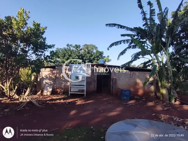 Imagem 5: Chácara com Produção para o SEASA