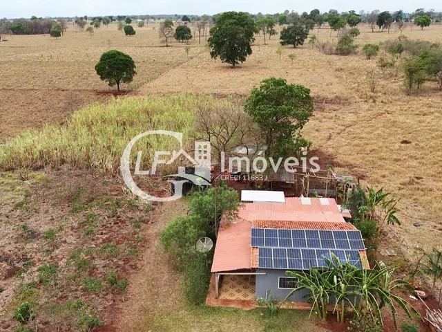 Imagem: Chácara 7 Hectares em Terenos Próximo