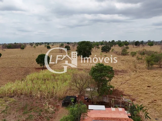 Imagem 6: Chácara 7 Hectares em Terenos Próximo ao Cachoeirão