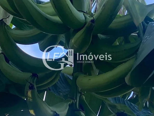 Imagem 14: Chácara 7 Hectares em Terenos Próximo ao Cachoeirão