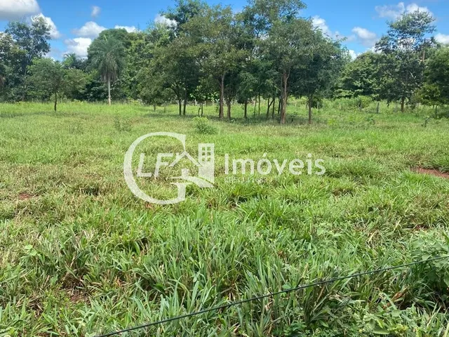 Imagem 10: Chácara 7 Hectares em Terenos Próximo ao Cachoeirão