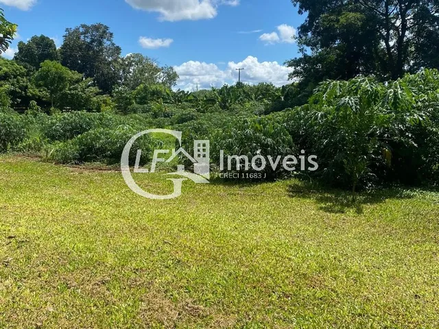 Imagem 11: Chácara 7 Hectares em Terenos Próximo ao Cachoeirão