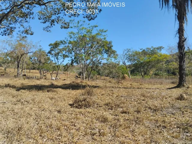 Imagem 4: SITIO RURAL em JABOTICATUBAS - MG, CENTRO
