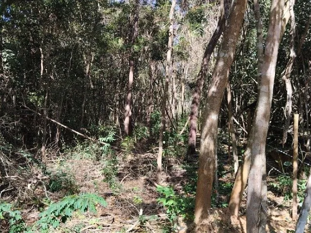 Imagem 3: SITIO RURAL em JABOTICATUBAS - MG, CENTRO