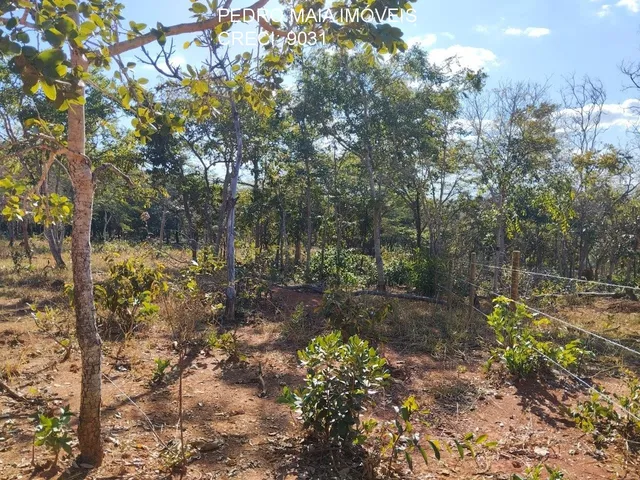 Imagem 6: SITIO RURAL em JABOTICATUBAS - MG, CENTRO