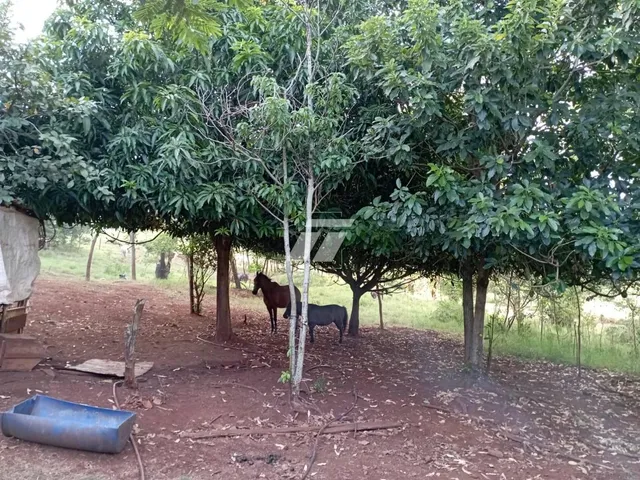 Imagem 6: Chácara à Venda - Santa Helena