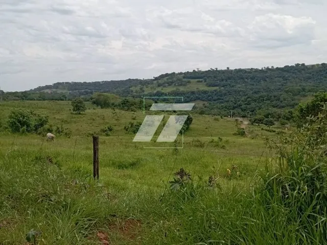 Imagem 10: Chácara à Venda - Santa Helena