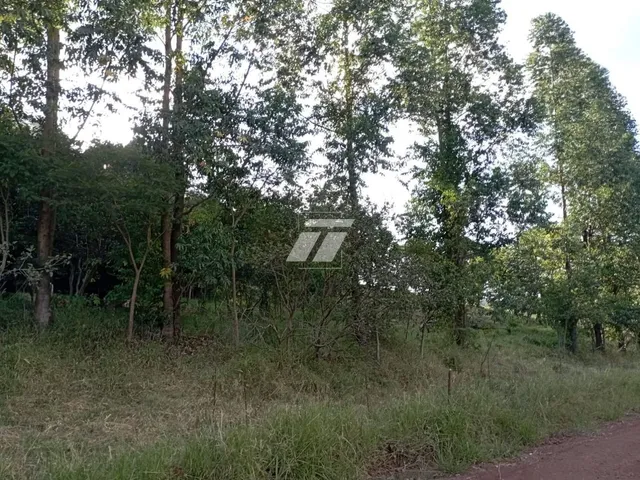 Imagem 7: Chácara à Venda - Santa Helena