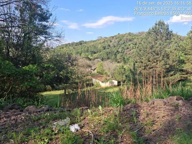Imagem: Terreno Rural em Francisco Beltrão - Pr
