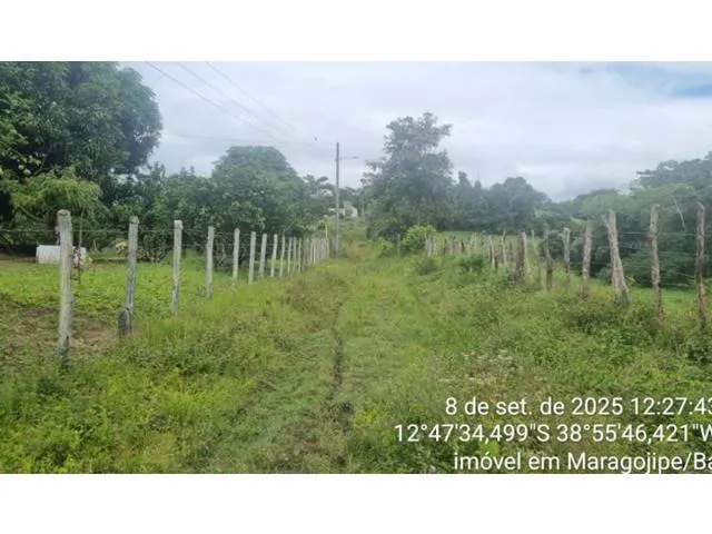 Imagem 5: CASA RESIDENCIAL em MARAGOGIPE - BA, Guaí
