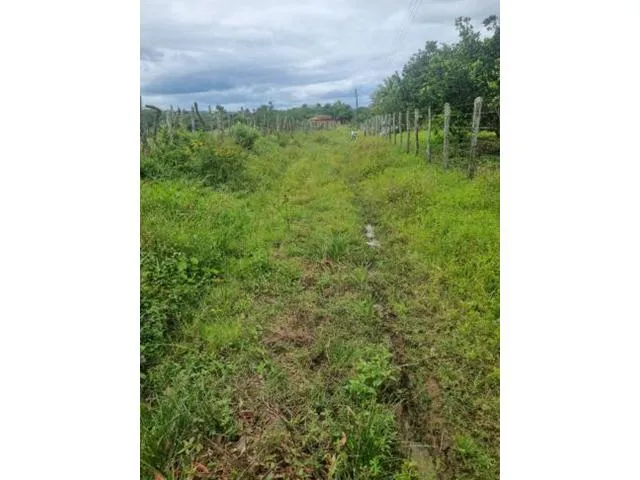 Imagem 2: CASA RESIDENCIAL em MARAGOGIPE - BA, Guaí