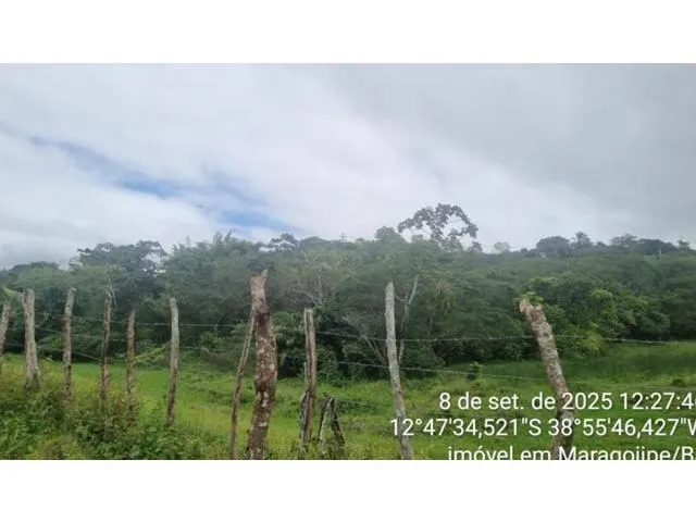 Imagem 9: CASA RESIDENCIAL em MARAGOGIPE - BA, Guaí
