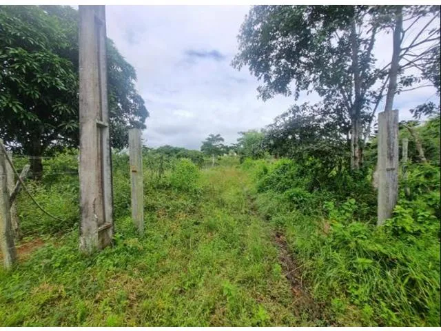 Imagem 4: CASA RESIDENCIAL em MARAGOGIPE - BA, Guaí