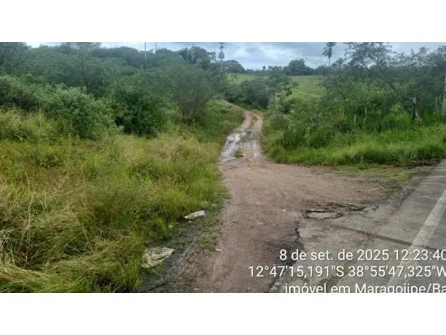 Imagem 6: CASA RESIDENCIAL em MARAGOGIPE - BA, Guaí