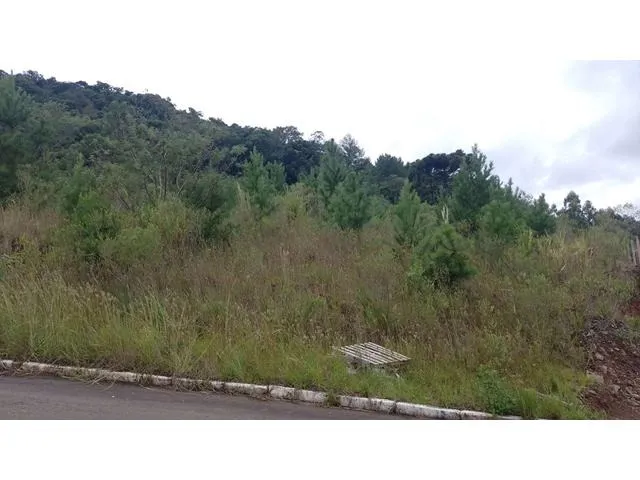 Imagem: TERRENO RESIDENCIAL em NOVA PETRÓPOLIS