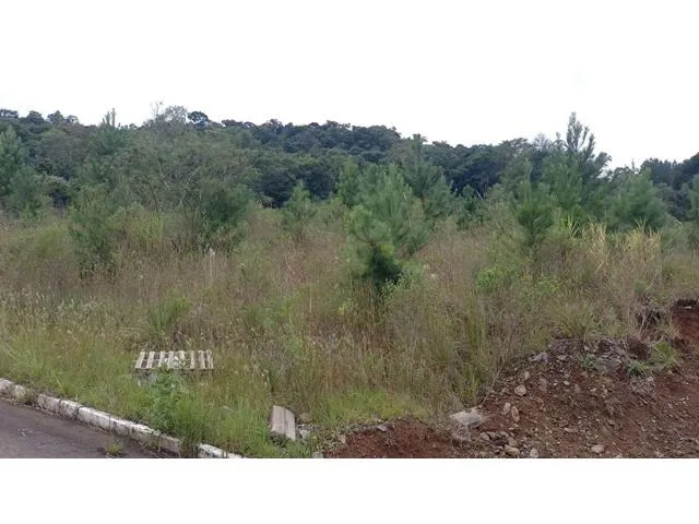 Imagem 9: TERRENO RESIDENCIAL em NOVA PETRÓPOLIS - RS, Linha Brasil