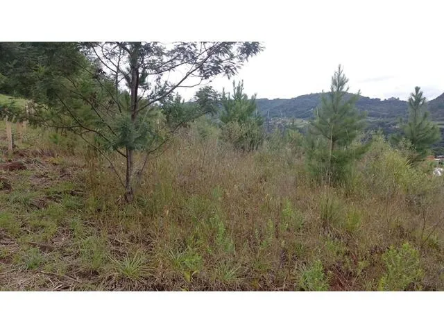 Imagem 3: TERRENO RESIDENCIAL em NOVA PETRÓPOLIS - RS, Linha Brasil