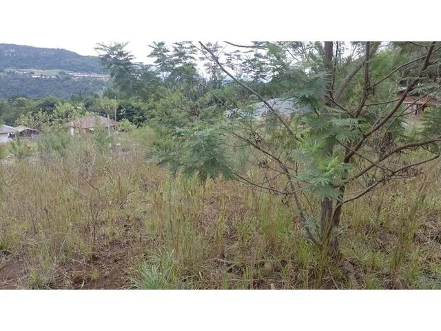 Imagem 6: TERRENO RESIDENCIAL em NOVA PETRÓPOLIS - RS, Linha Brasil