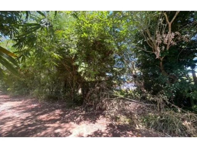 Imagem: Terreno Residencial em Ilhéus - Ba, Loteamento