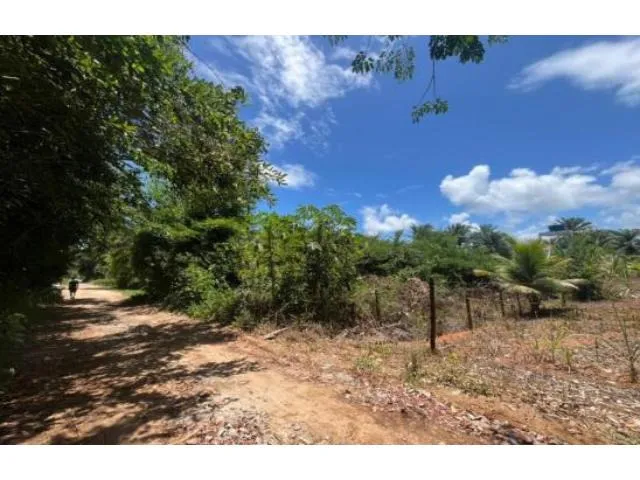 Imagem 10: Terreno Residencial em Ilhéus - Ba, Loteamento Mansões Luzimares