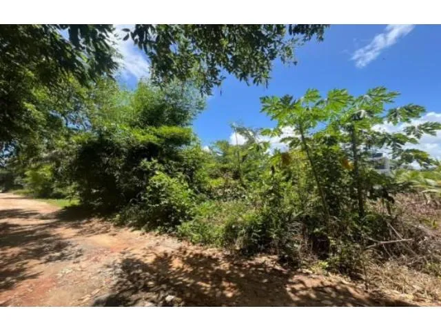 Imagem 2: Terreno Residencial em Ilhéus - Ba, Loteamento Mansões Luzimares