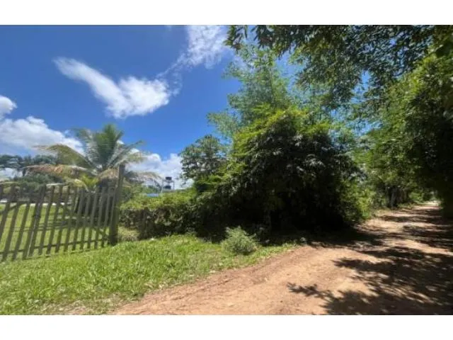 Imagem 8: Terreno Residencial em Ilhéus - Ba, Loteamento Mansões Luzimares