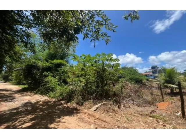 Imagem 6: Terreno Residencial em Ilhéus - Ba, Loteamento Mansões Luzimares