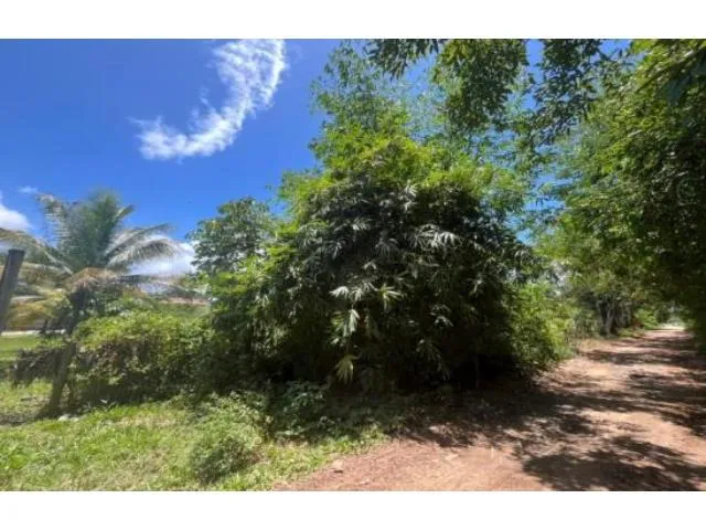 Imagem 3: Terreno Residencial em Ilhéus - Ba, Loteamento Mansões Luzimares