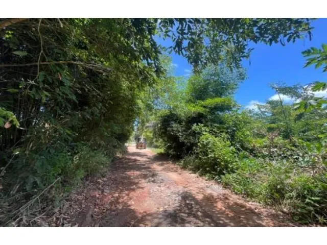 Imagem 7: Terreno Residencial em Ilhéus - Ba, Loteamento Mansões Luzimares