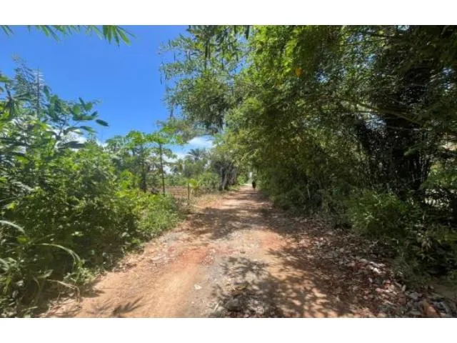 Imagem 9: Terreno Residencial em Ilhéus - Ba, Loteamento Mansões Luzimares