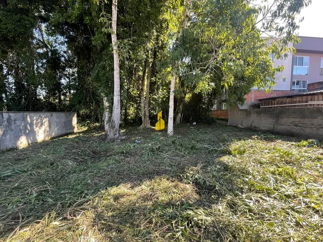 Imagem 7: TERRENO NA CIDADE DE TIMBÓ/SC