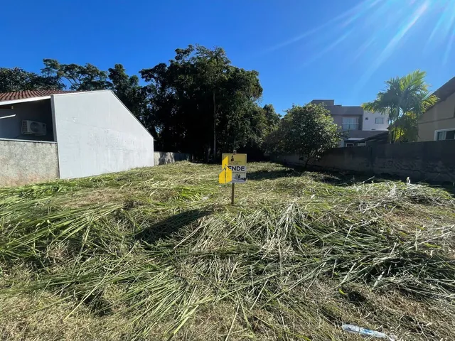 Imagem 3: TERRENO NA CIDADE DE TIMBÓ/SC