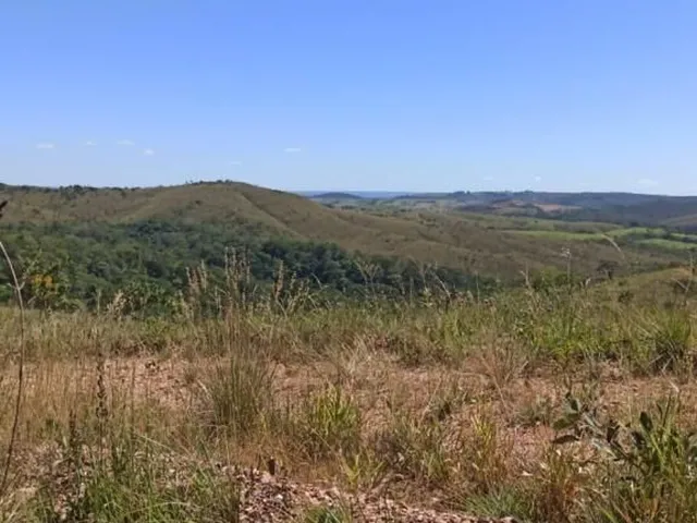 Imagem 4: Fazenda 303 hectares em Patos de Minas com potencial para compensação ambiental e