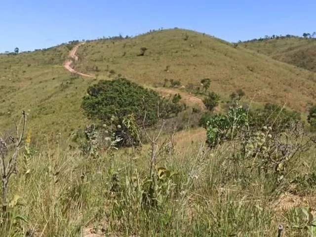 Imagem 10: Fazenda 303 hectares em Patos de Minas com potencial para compensação ambiental e