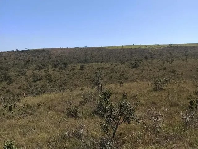 Imagem 16: Fazenda 303 hectares em Patos de Minas com potencial para compensação ambiental e