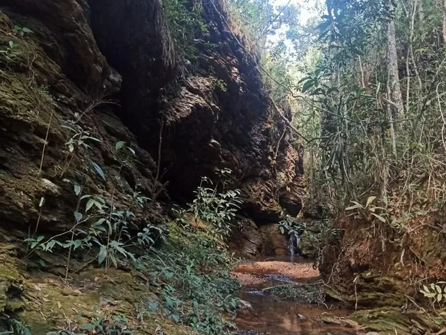 Imagem 14: Fazenda 303 hectares em Patos de Minas com potencial para compensação ambiental e