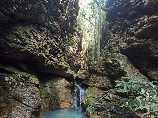 Imagem 8: Fazenda 303 hectares em Patos de Minas com potencial para compensação ambiental e