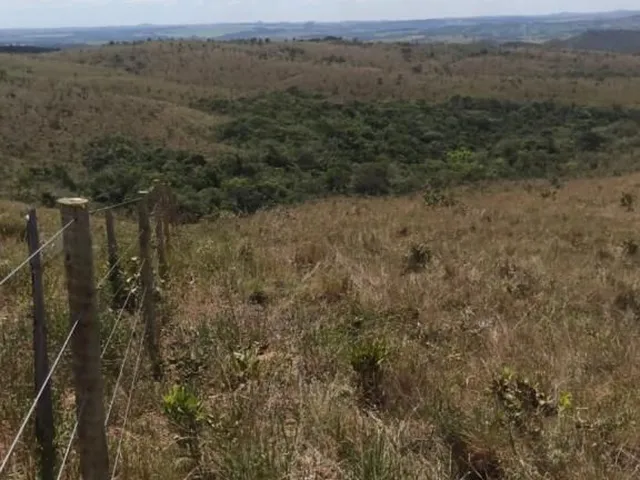 Imagem 2: Fazenda 303 hectares em Patos de Minas com potencial para compensação ambiental e