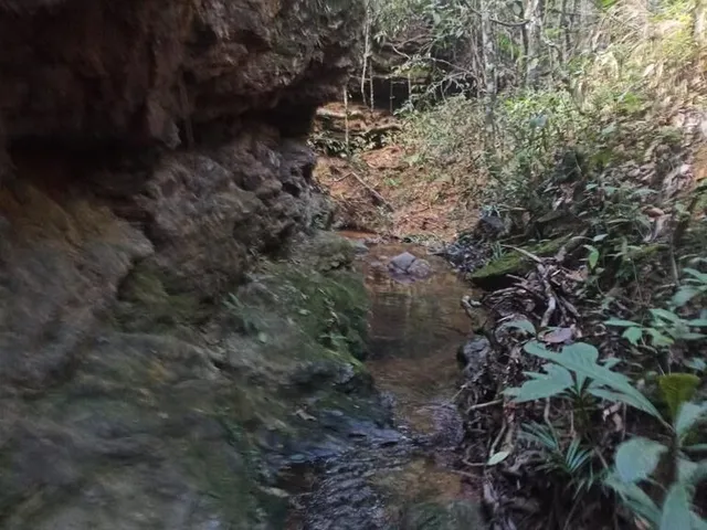 Imagem 11: Fazenda 303 hectares em Patos de Minas com potencial para compensação ambiental e