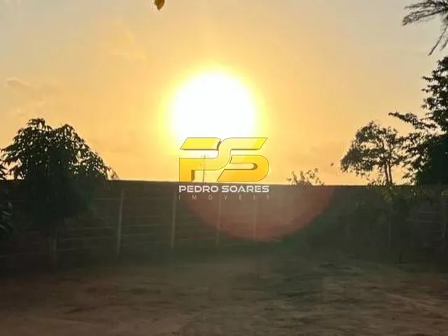 Imagem 12: Fazenda - Bananeiras