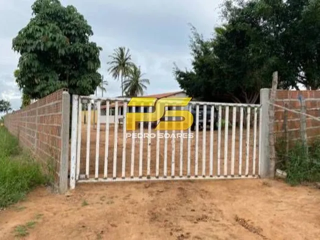 Imagem 16: Fazenda - Bananeiras