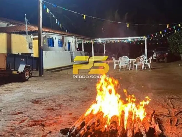 Imagem 7: Fazenda - Bananeiras