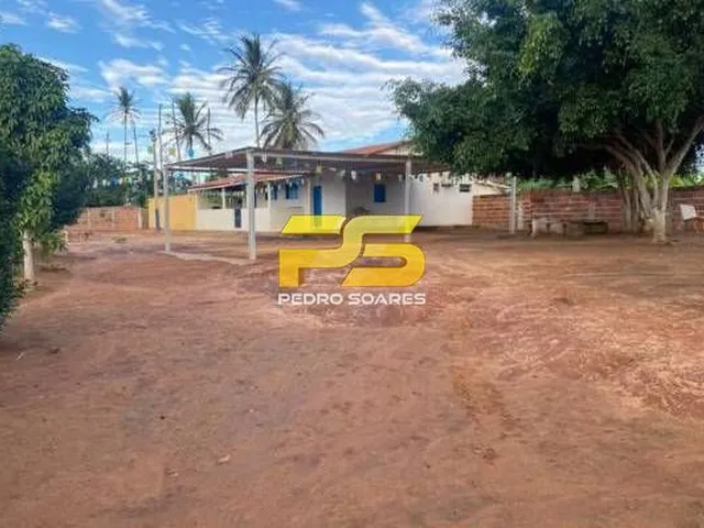 Imagem 3: Fazenda - Bananeiras